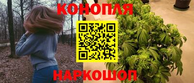 винт Гай